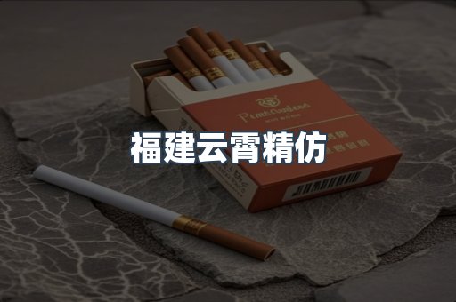 福建云霄精仿